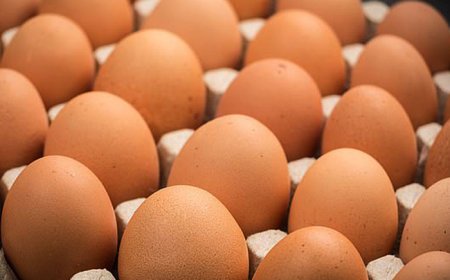 अन्डाको मूल्य बढ्यो