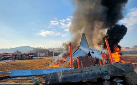 विमान दुर्घटनामा  १२०  जनाको मृत्यु