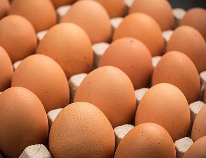 अन्डाको मूल्य घट्यो
