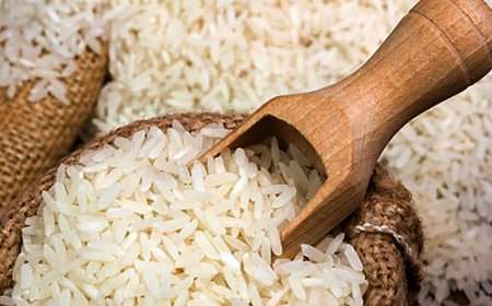 धान उत्पादन बढे पनि घटेन चामल आयात