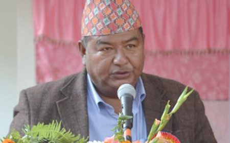 जेठ १५ भित्र पुल नबने खोलामा गाड्छु :  सांसद्  किसान श्रेष्ठ