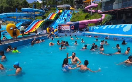 जाने होइन -हुप्पी ल्यान्ड ?