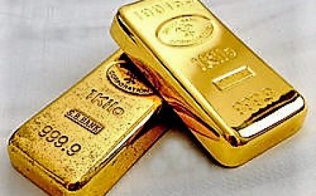 २ केजी सुन र २४ लाख रुपैयाँ सहित पक्राउ 