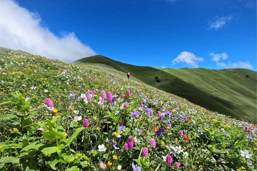 चौँरी खर्क, रुकुम पूर्व  ( स्वर्गको एक टुक्रा )