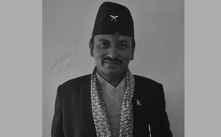 तारकेश्वर गाउँपालिका  वडाध्यक्षको निधन