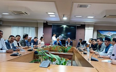 सुनचाँदी व्यवसायी र सरकारका प्रतिनिधि बिच १२ बुँदे सम्झौता ! विलासिता कर र  भ्याट लागू प्रति महासङ्घ विभाजन 