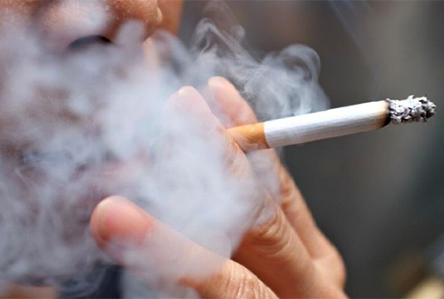 सार्वजनिक स्थानमा धूम्रपान गर्ने १७ जनालाई महानगरले तिरायो ठाउँको ठाउँ ५०० जरिवाना