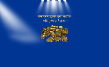 यसकारण दैनिक सुनको मूल्य बढ्दैछ ! कति पुग्ला प्रति तोला ?