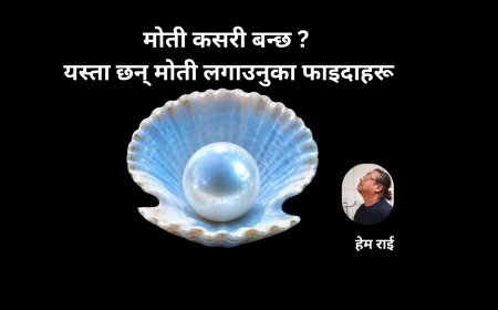 मोती कसरी बन्छ ? यस्ता छन् मोती लगाउनुका फाइदाहरू