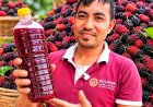 खेर जाने किम्बुबाट वाइन बनाएर उदाहरणीय बने चापागाउँका किसान विकास देसार