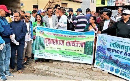 ललितपुर–१४ को आयोजनामा वृक्षरोपण कार्यक्रम सम्पन्न