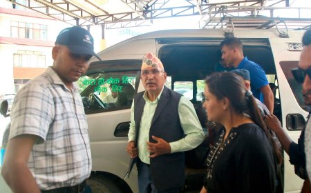 विष्णु पौडेललाई ७ दिन थुनामा राखेर अनुसन्धान गर्न अनुमति