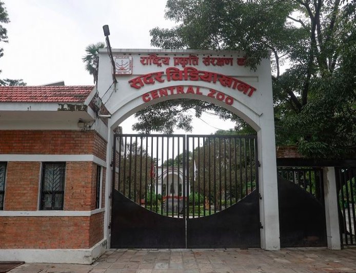 जावलाखेलस्थित चिडियाखानाका जीवजन्तुमा बर्डफ्लु पुष्टि