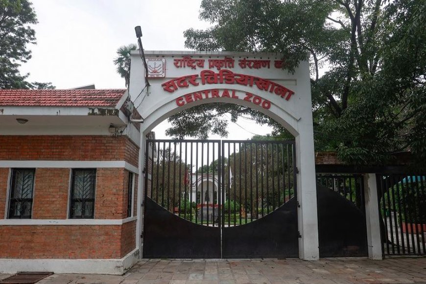 जावलाखेलस्थित चिडियाखानाका जीवजन्तुमा बर्डफ्लु पुष्टि