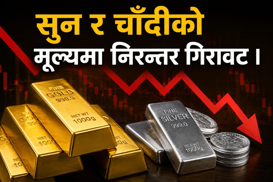 सुन र चाँदीको मूल्यमा निरन्तर गिरावट ।