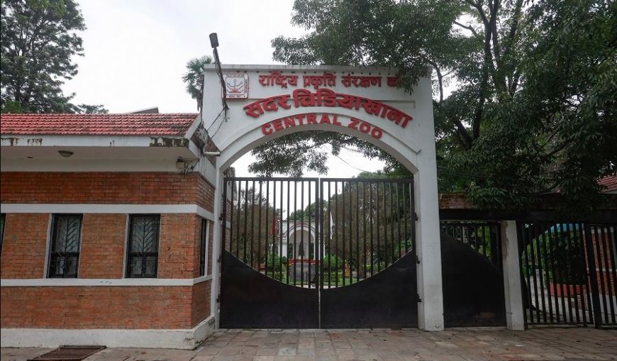 जावलाखेलस्थित चिडियाखानाका जीवजन्तुमा बर्डफ्लु पुष्टि