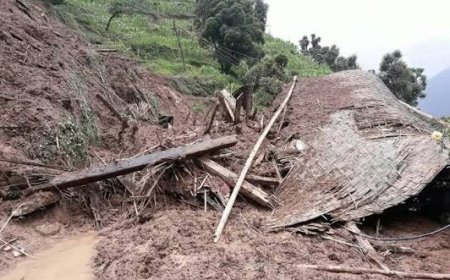 सुतिरहेको बेला पहिरो खस्दा आमाको मृत्यु, छोरी र नातिनी घाइते