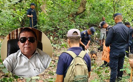 कपिलवस्तुका पूर्वमेयर सिंह जंगलमा मृत फेला