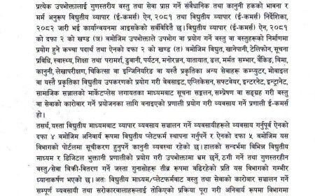 विद्युतीय माध्यमबाट व्यापार गर्ने व्यवसायीलाई अनिवार्य सूचीकृत हुन सरकारको निर्देशन