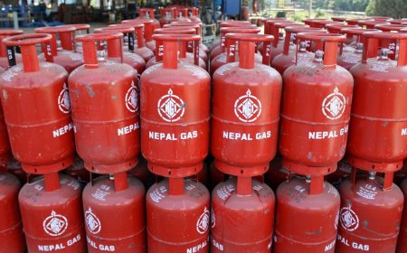 काठमाडौंका यी ११ स्थानबाट फरक कम्पनीको ग्यास सिलिन्डर साट्न पाइने